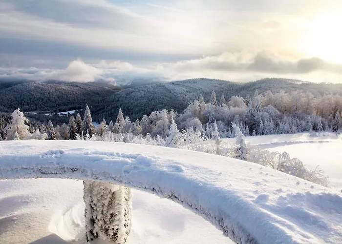 Des Rochires Chalet Gerardmer